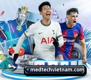 bsports官网入口 APP